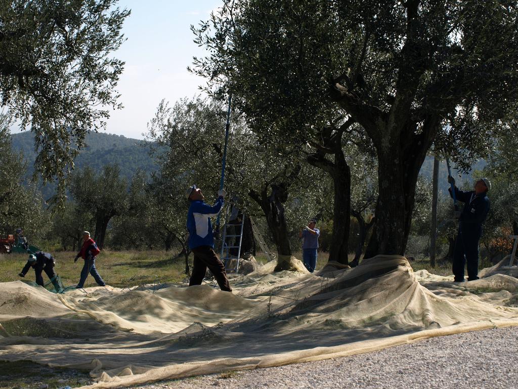 Podere Schioppello Casale Con Appartamenti Privati Cibottola Zewnętrze zdjęcie