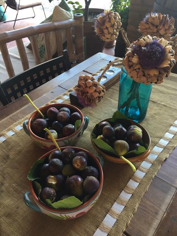 Podere Schioppello Casale Con Appartamenti Privati Cibottola Zewnętrze zdjęcie