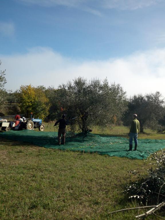 Podere Schioppello Casale Con Appartamenti Privati Cibottola Zewnętrze zdjęcie